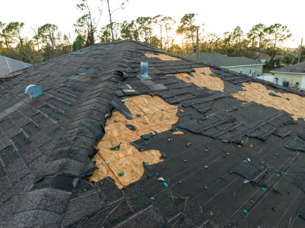 Best Asphalt Shingle Roofing  in Holt, AL