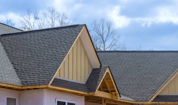 Best Gutter Installation and Repair  in Holt, AL