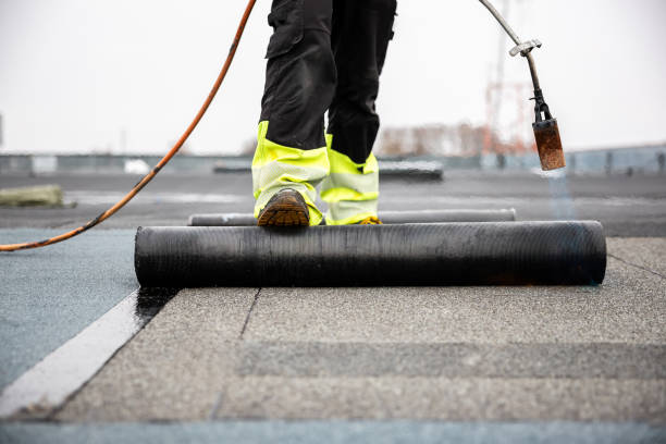 Best Solar Panel Roofing Installation  in Holt, AL