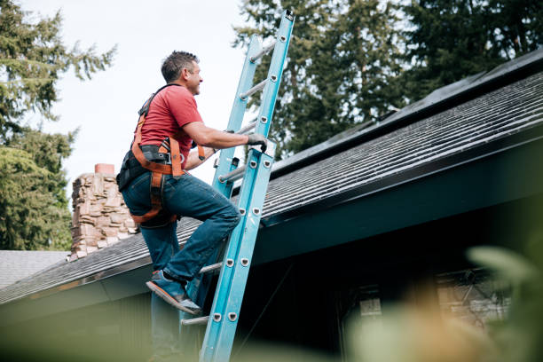 Best Rubber Roofing (EPDM, TPO)  in Holt, AL