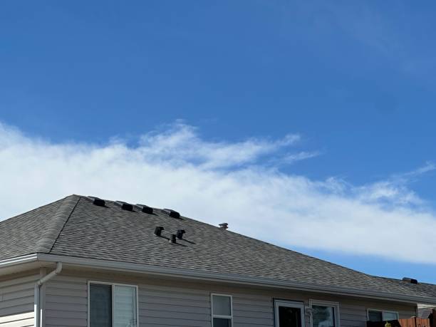 Fast & Reliable Emergency Roof Repairs in Holt, AL