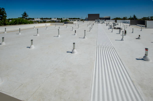 Best Roof Insulation Installation  in Holt, AL